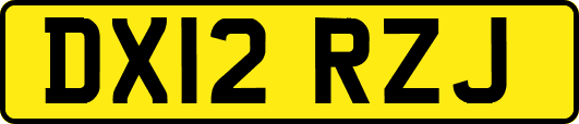 DX12RZJ
