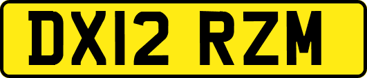 DX12RZM