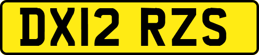 DX12RZS