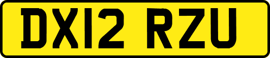 DX12RZU