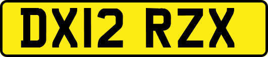 DX12RZX