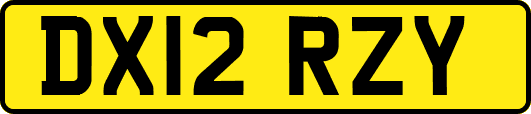 DX12RZY