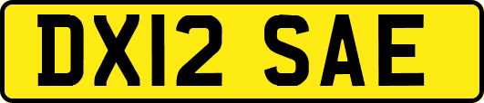 DX12SAE