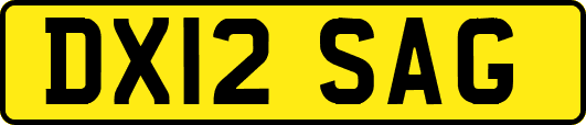 DX12SAG