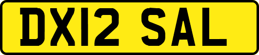 DX12SAL