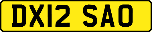 DX12SAO