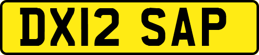 DX12SAP