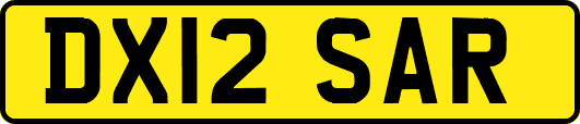 DX12SAR