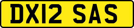 DX12SAS