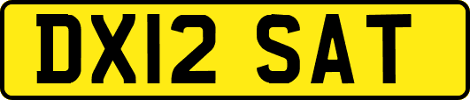 DX12SAT