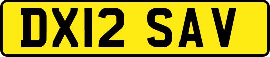 DX12SAV