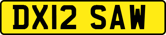 DX12SAW