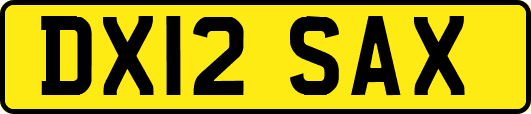 DX12SAX