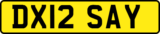 DX12SAY