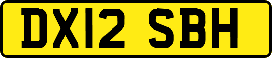 DX12SBH