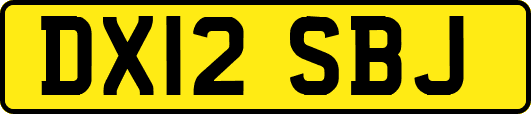 DX12SBJ