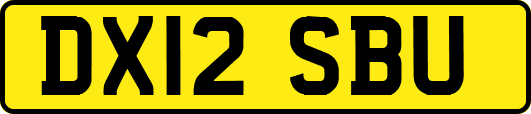 DX12SBU