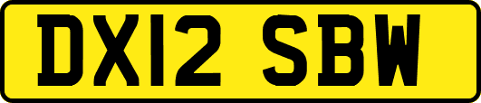 DX12SBW