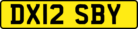 DX12SBY