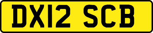 DX12SCB
