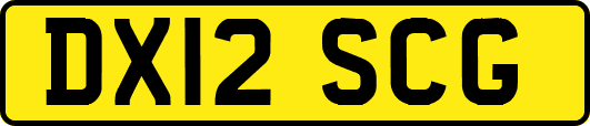 DX12SCG
