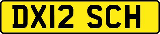 DX12SCH