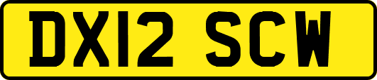 DX12SCW