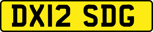 DX12SDG