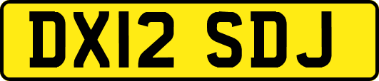 DX12SDJ