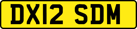 DX12SDM