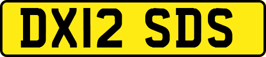 DX12SDS