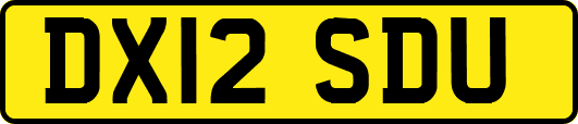 DX12SDU
