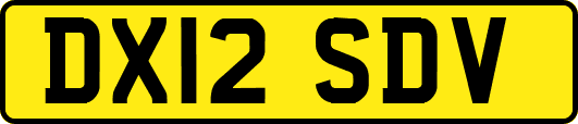 DX12SDV