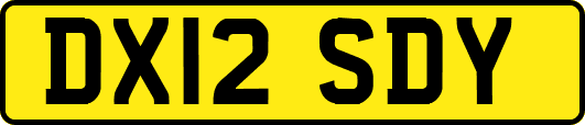 DX12SDY