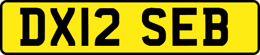 DX12SEB