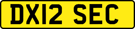 DX12SEC