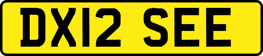DX12SEE