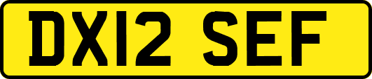 DX12SEF