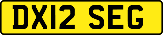 DX12SEG
