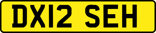 DX12SEH