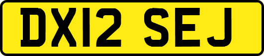 DX12SEJ