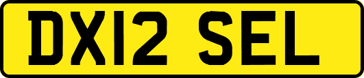 DX12SEL