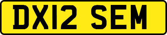 DX12SEM