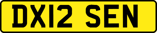DX12SEN