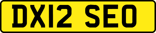 DX12SEO