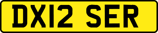 DX12SER