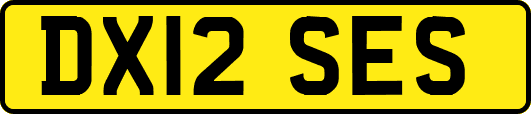DX12SES