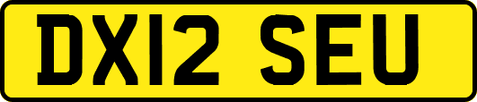 DX12SEU
