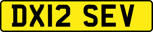 DX12SEV