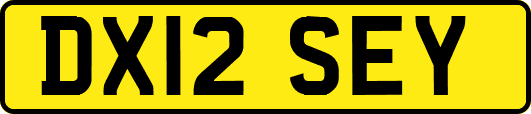 DX12SEY